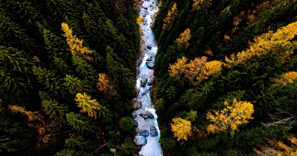 3 Data-Driven Sales Strategies for Modern Revenue Leaders