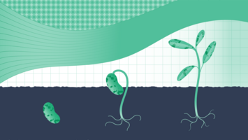 How to Start An Employee Advocacy Program From Scratch