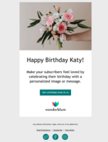 Customer Loyalty: Birthday > Litmus