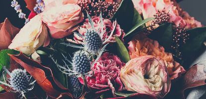 Refashion your newsletter and allow your brand to flourish | dotdigital blog