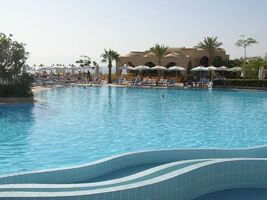 10 Time-Saving Social Media Tools for a Productive Summer