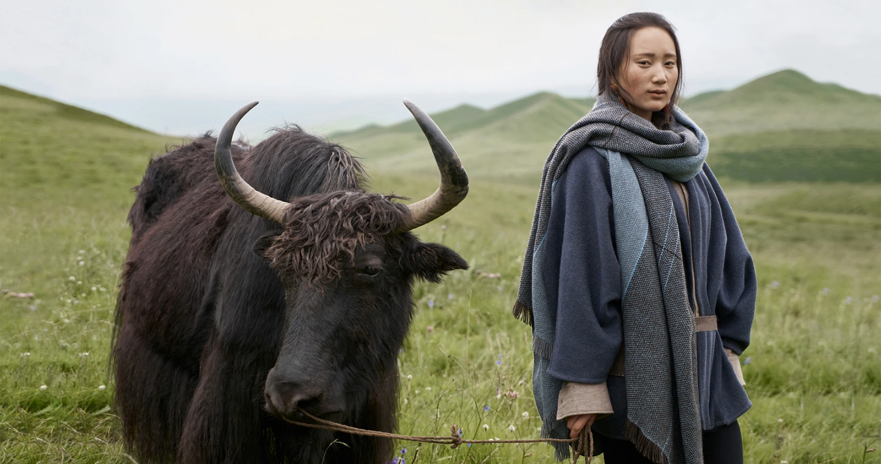 She Built a Local Economy in the Tibetan Plateau-with Yak Wool