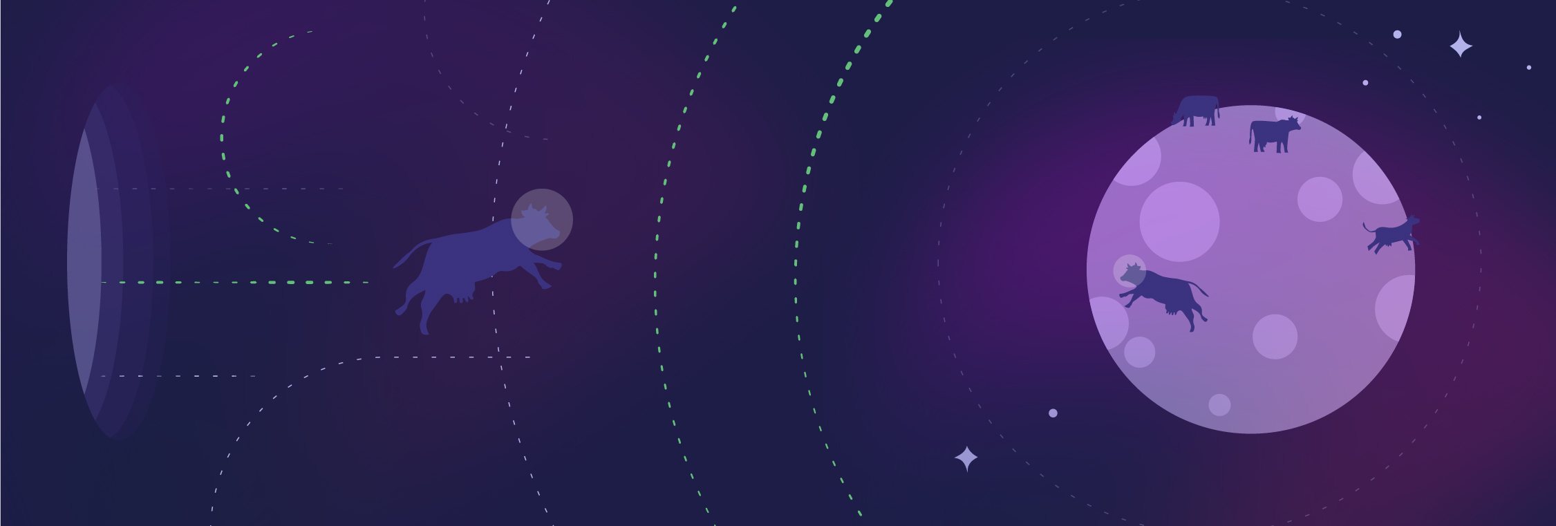 How Do You Measure the Success of a CDP?