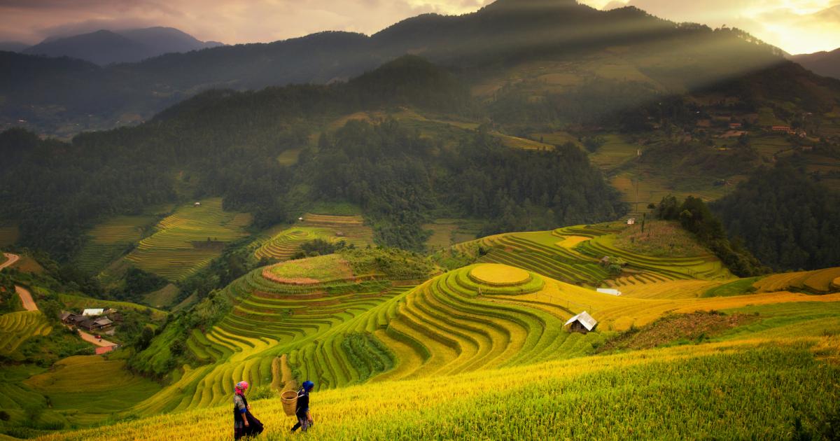 UserTesting Success Story: How Kiva Uses Human Insights to Help Alleviate Poverty Around the World | UserTesting Blog