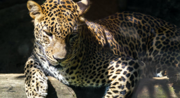 Chili Piper's Director of Revenue Performance Michael Tuso Wins 2019 BEAST Award