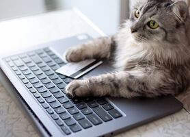 11 Ecommerce Marketing Trends Dominating in 2022