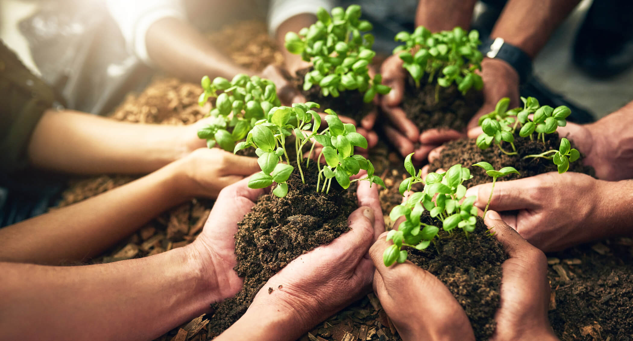 The Foundation for Change: How to Write Your Nonprofit Business Plan