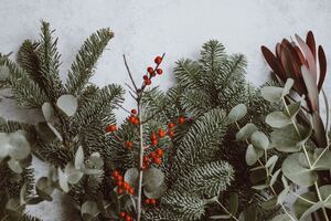 5 Fresh Holiday Email Ideas to Drive Conversions [+ Examples]
