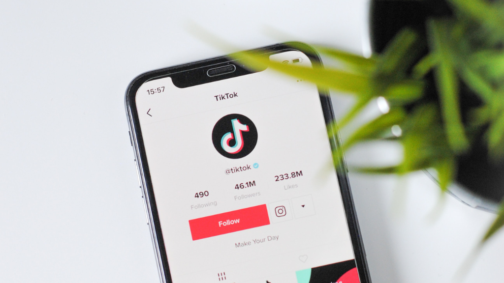 The Ultimate Guide to TikTok Influencer Marketing