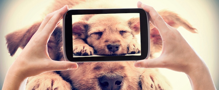 What to Post on Instagram This Month: 18 Photo & Video Ideas to Spark Inspiration