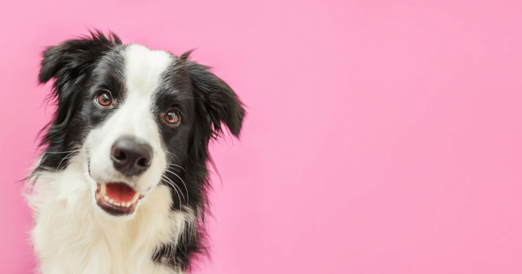 Retailer loyalty: What matters most to consumers