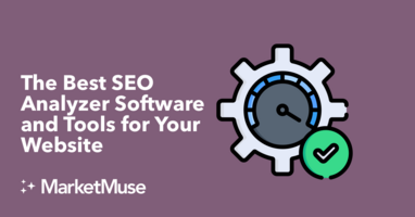 The Best SEO Analyzer Software and Tools for Your Website