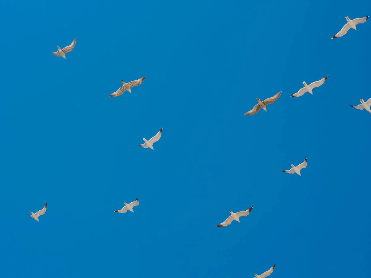 How Frequently Do Retailer Requirements Change - and How Can Brands Keep Up?