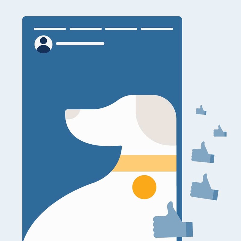 How to Use Facebook Stories for Business: The Complete Guide