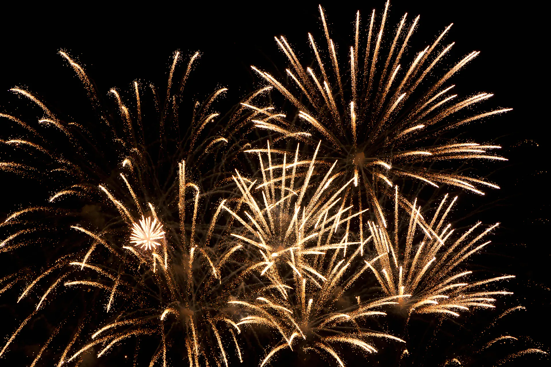 Guinness World Records - Meltwater customer story