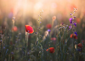 40+ Mother's Day Instagram Captions (Plus a Word List!)