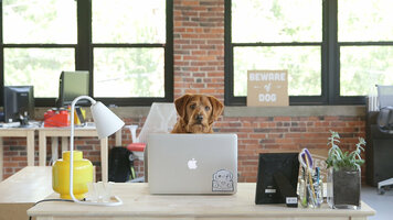 How to Increase Conversions with Targeted Emails