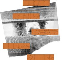 The Ultimate Guide to Effective Compliance Risk Management