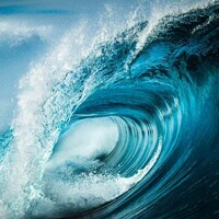 My reflections on the Forrester Wave™