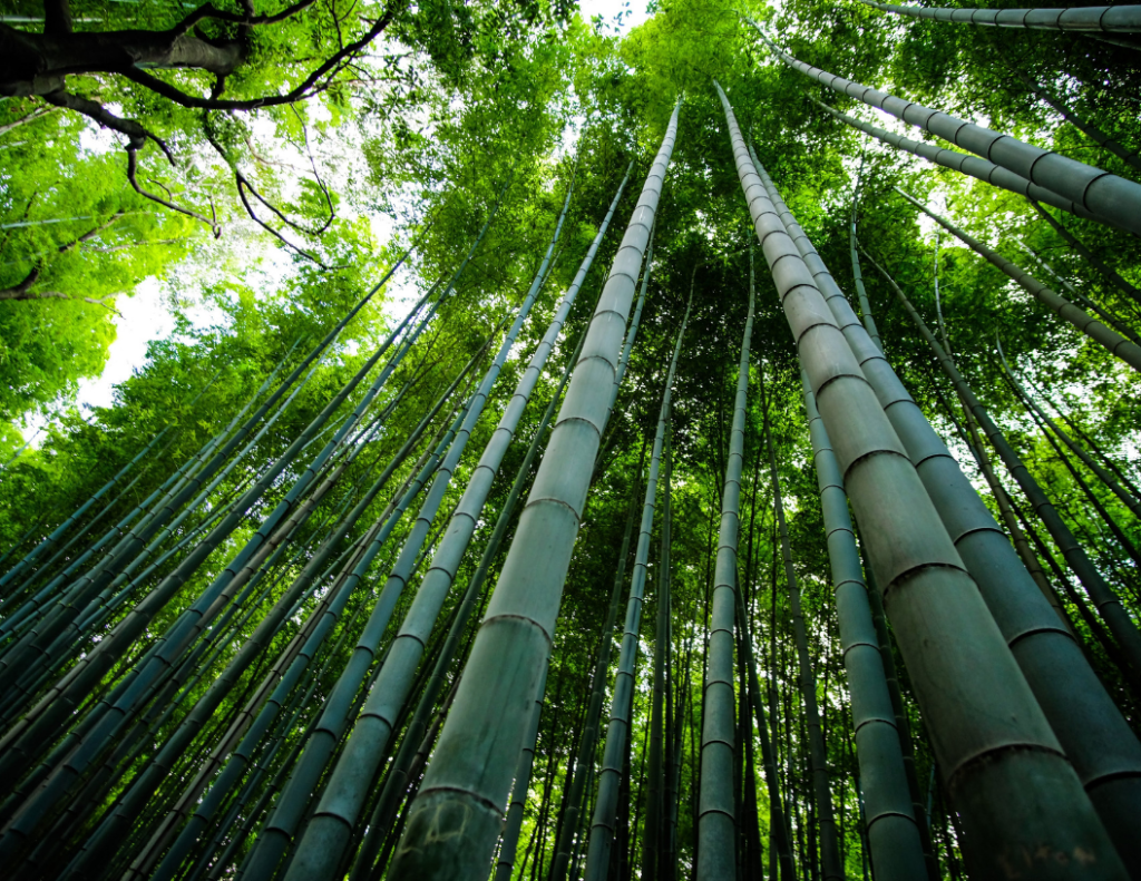 How commerce content increases revenue