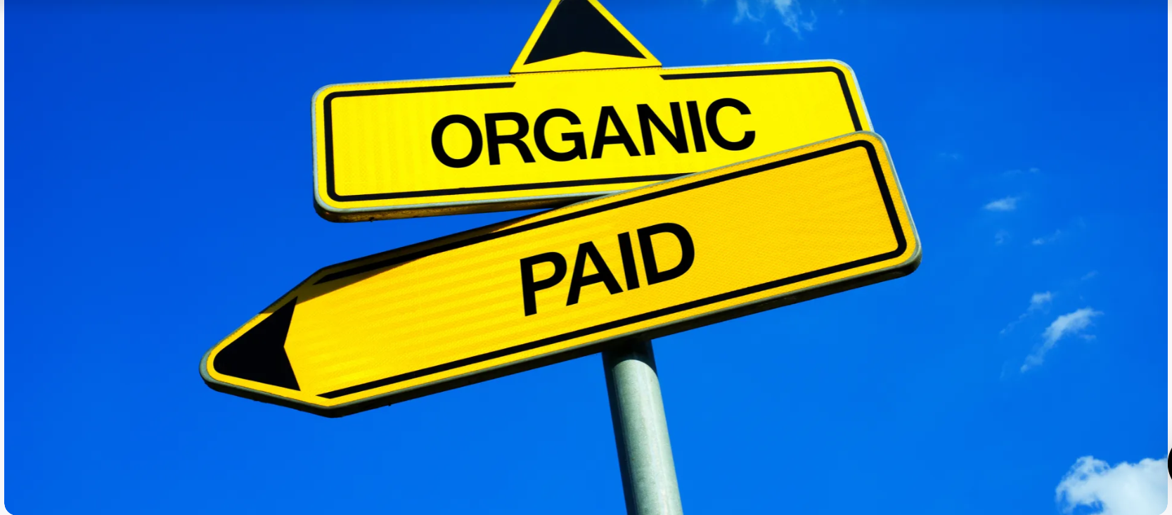 Organic vs Paid Social Media: Make the Right Choice