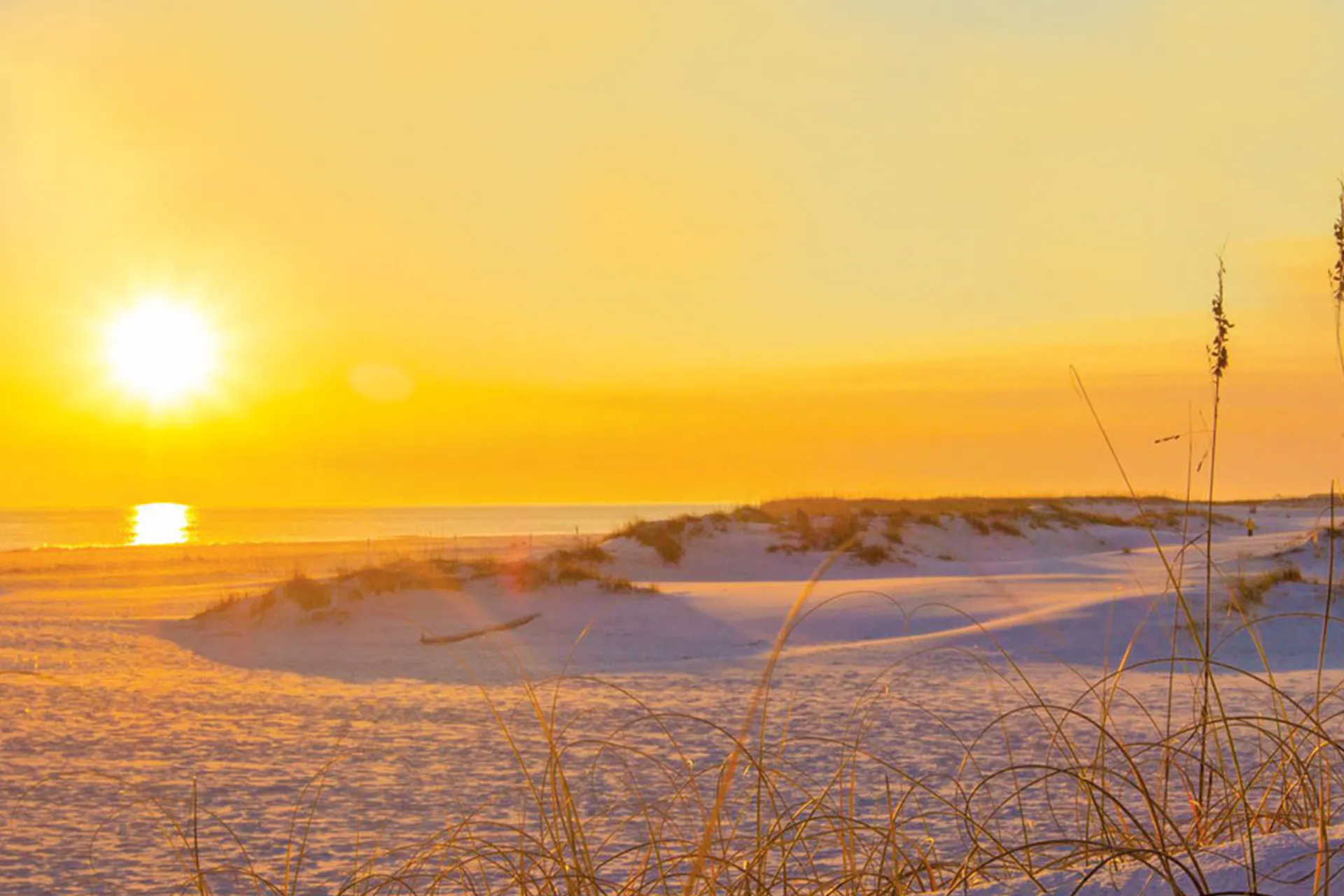 Newman-Dailey Resort Properties