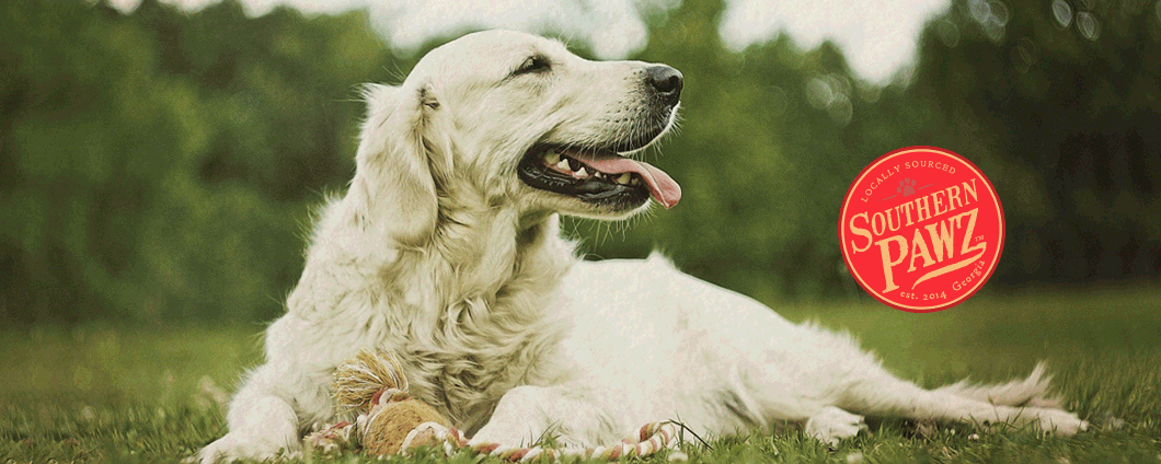 Spreading Holiday Cheer - Gourmet Gift Baskets & Pet Goodies with Southern Flare