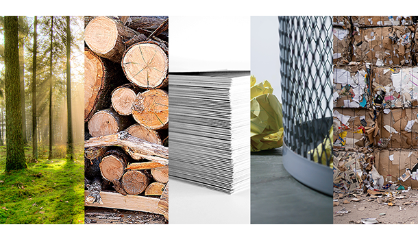 2020 Resolution for the Environment: Go Paperless