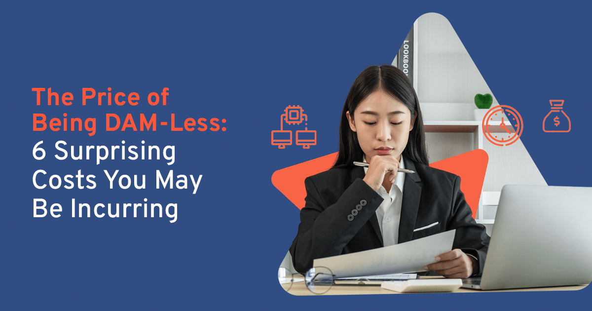 The Price of Being DAM-Less: 6 Surprising Costs You May Be Incurring