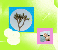 User-generated Content: Everything You Need to Know