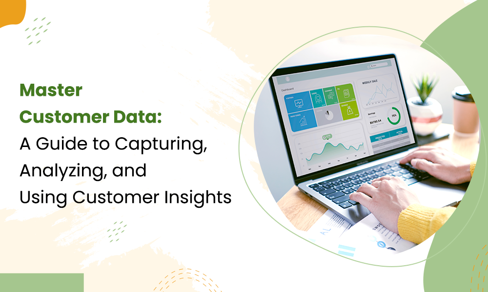 Master Customer Data: A Guide to Capturing, Analyzing, and Using Customer Insights