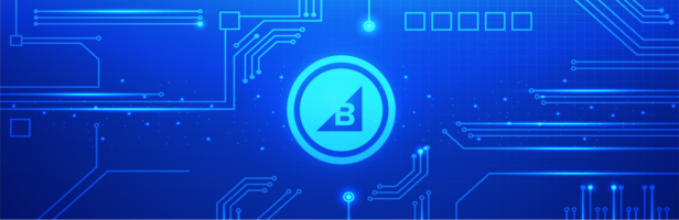 Why B2B Ecommerce is the Smartest Investment You'll Make in 2025