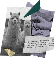 SOC 2: The Ultimate Guide