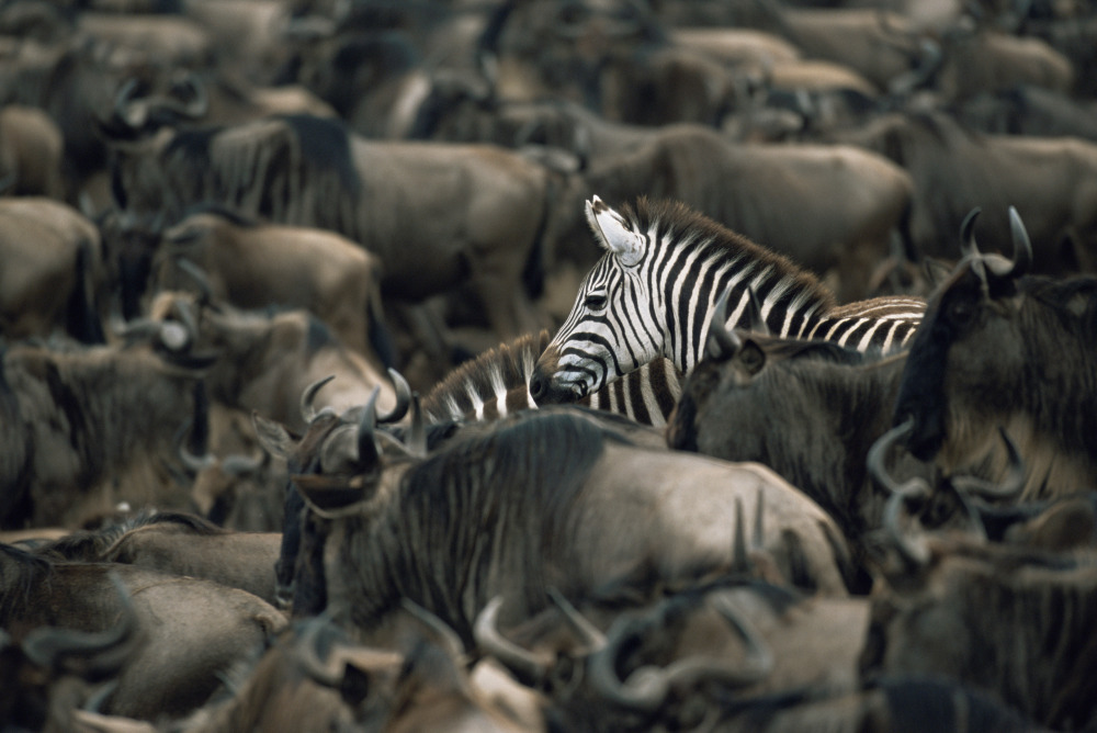 Why Context and Quality in Lead Gen Beats Higher Volumes at Lowest Cost