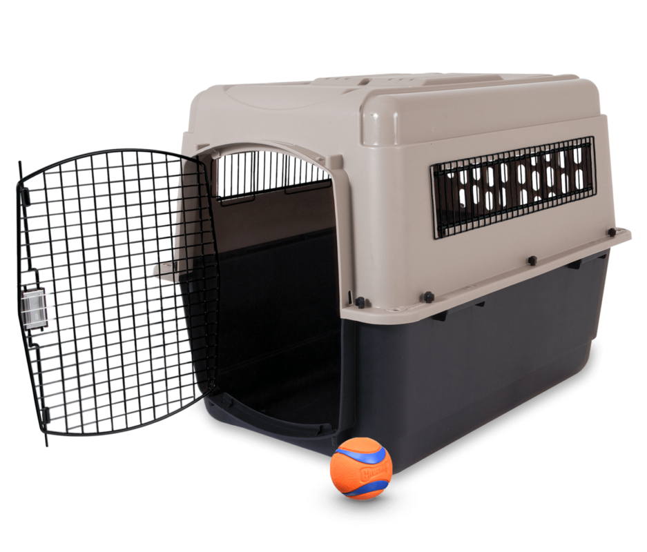 Petmate accelerates review collection with sampling