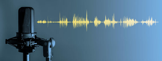 3 Things to Know about Podcast Advertising in 2021 - Basis Technologies