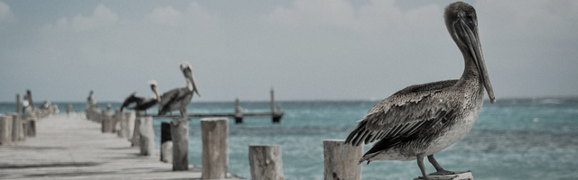 20 Email Marketing Statistics to Prove Email Relevance