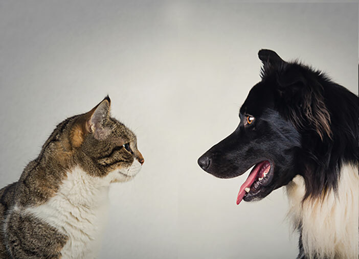 TikTok vs Instagram Reels Ads: Which is Better? [Experiment!]