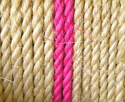 5 Times We Failed at Diversity (and How We Fixed it)