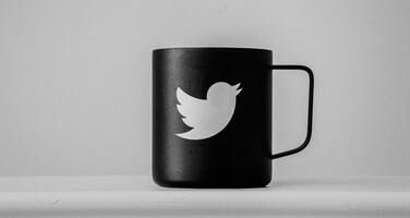 Death to DTC Twitter? Elon Musk's direction causes fight or flight response amongst community 