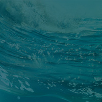 The Role of Social Media in the B2B Buying Process