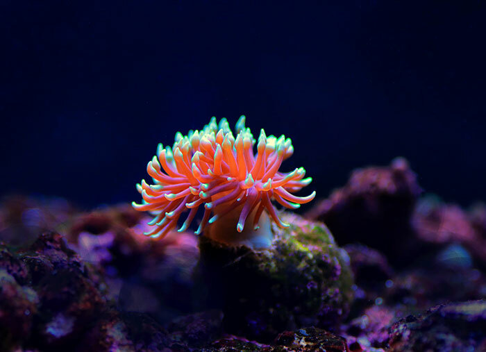 12 Eye-Catching Google Ads Examples (+Takeaway Tips)