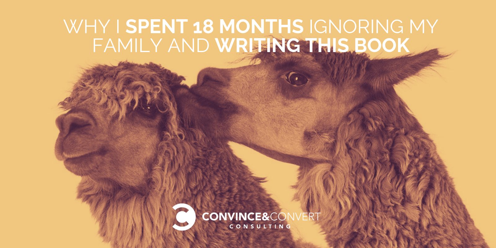 Why I Spent 18 Months Ignoring My Family and Writing This Book