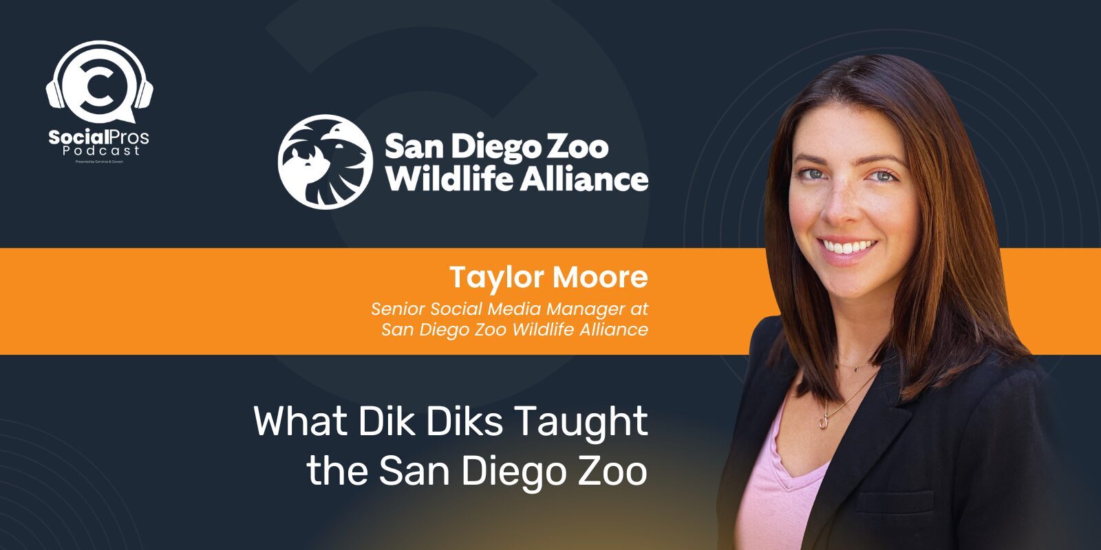 What Dik Dik's Taught the San Diego Zoo