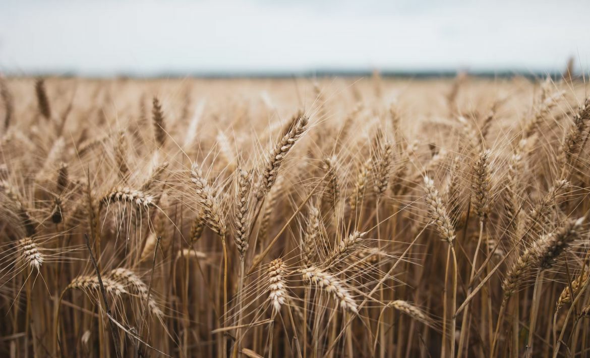 How to get the most out of your CRM data: Statistical fields in NetHunt CRM and how to use them