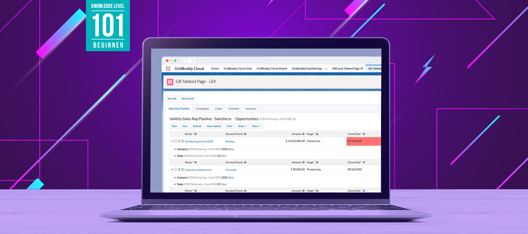 Every Salesforce Object You Need in A Single, Editable View