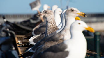 Find your unique selling proposition to build a website that really works