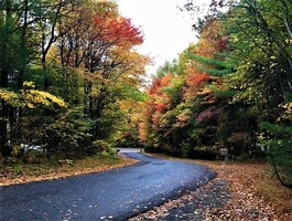 Forr The Planet: Sustainability Interview Series - Oracle