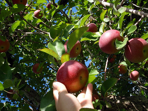 Using Social Sharing Buttons Leads to 7x More Mentions [Data]