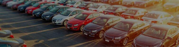 Case Studies | ABC Red Top Auto Auctions